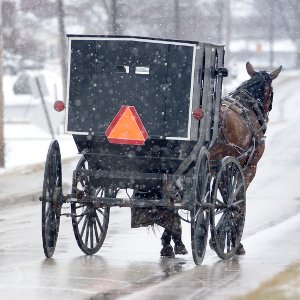 Amish horse and buggy vs innovation